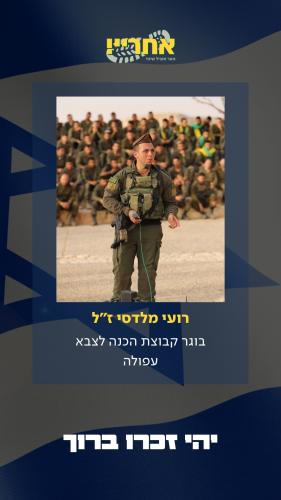 רועי מלדסי זל