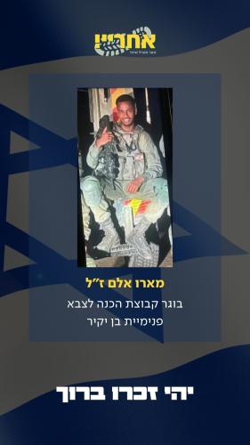 מארו אלם זל