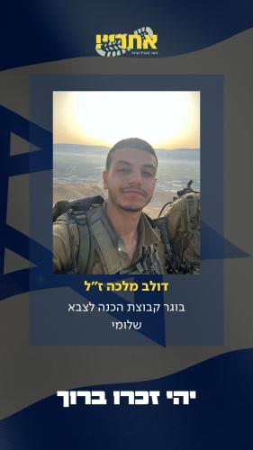 דולב מלכה זל