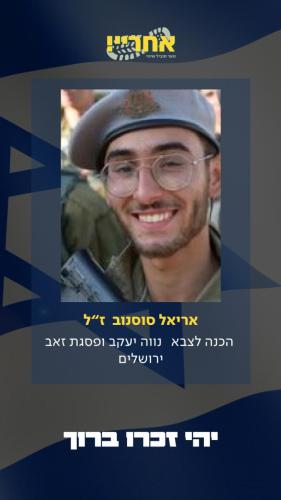 אריאל סוסנו זל