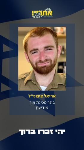 אריאל צים זל